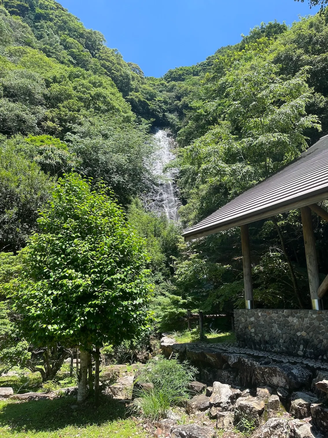 篠山白滝