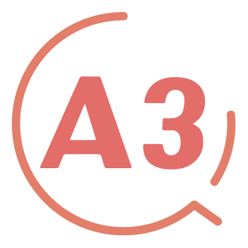 A3