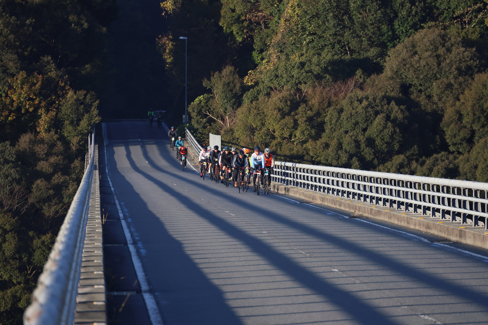 ギャラリー写真