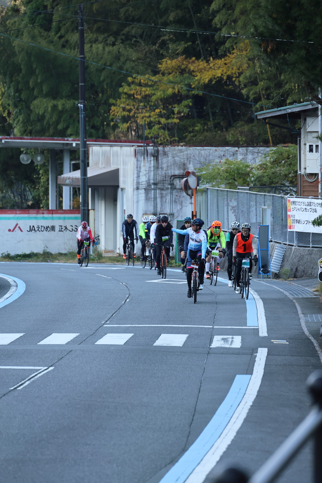 ギャラリー写真