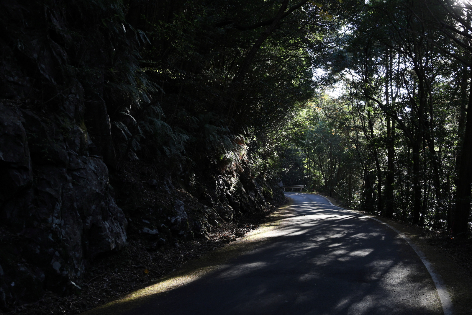 ギャラリー写真