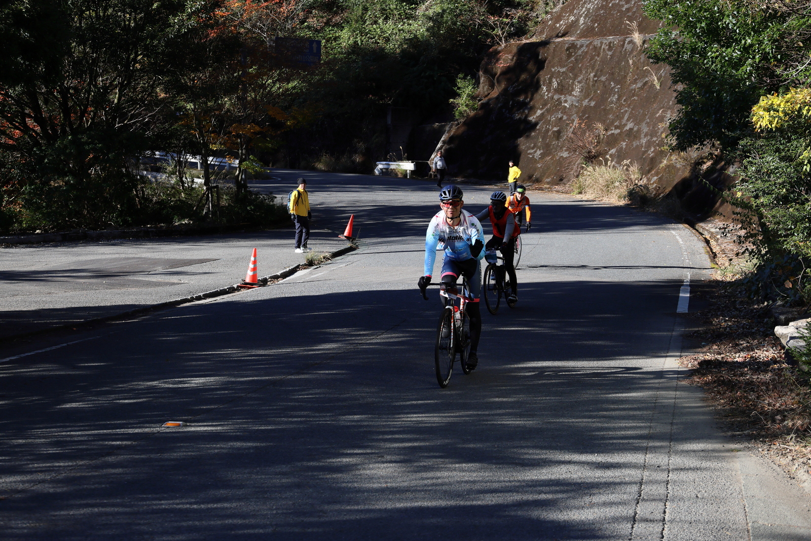 ギャラリー写真