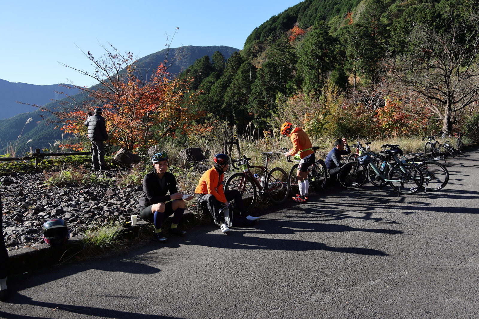ギャラリー写真