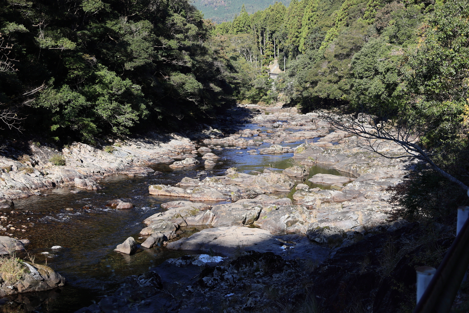 ギャラリー写真