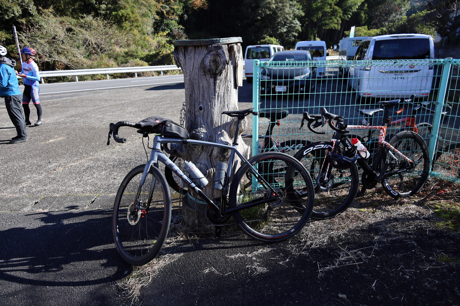 ギャラリー写真