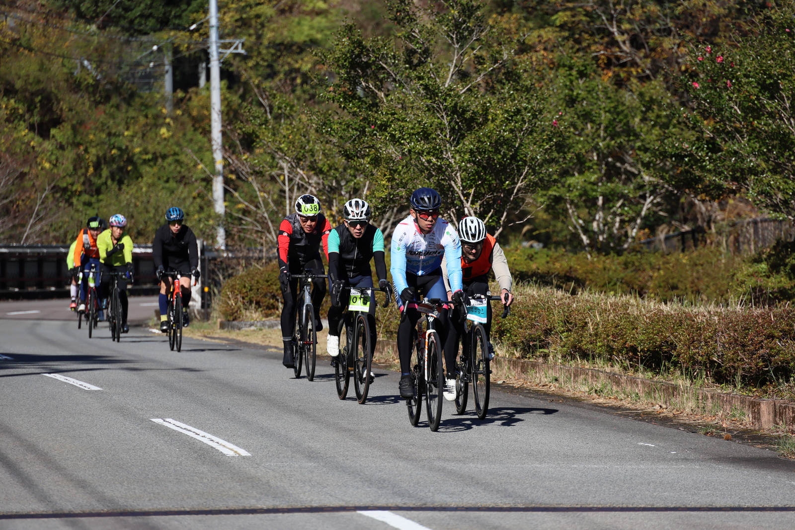 ギャラリー写真