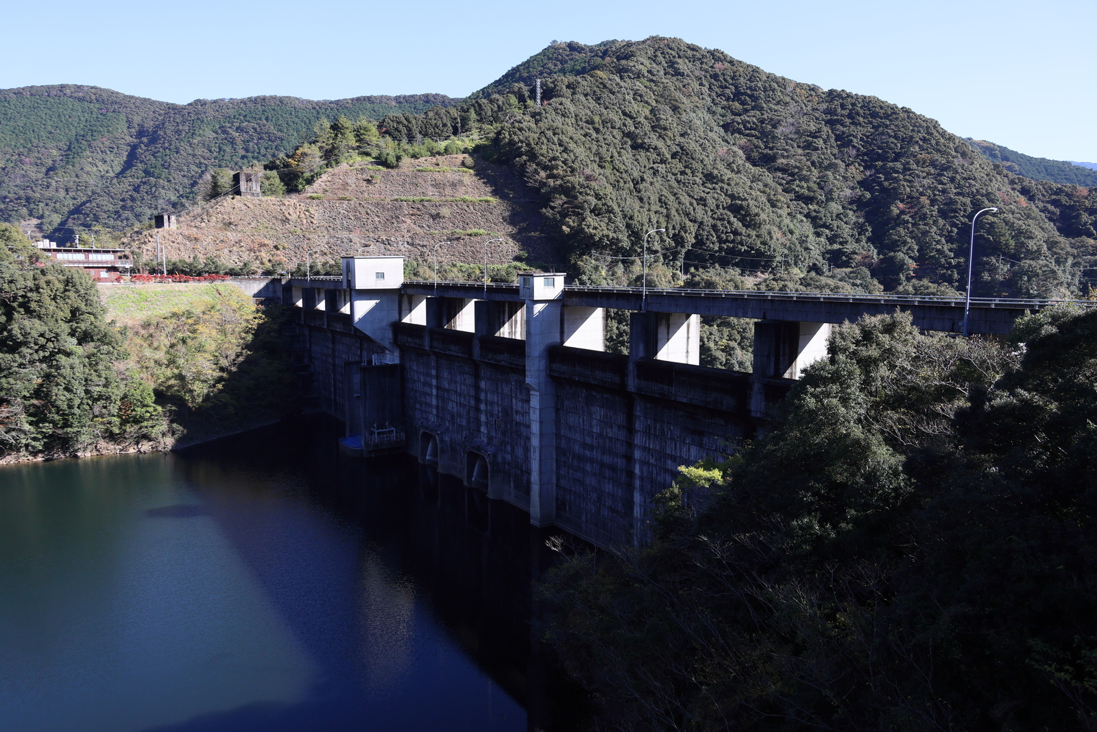 ギャラリー写真