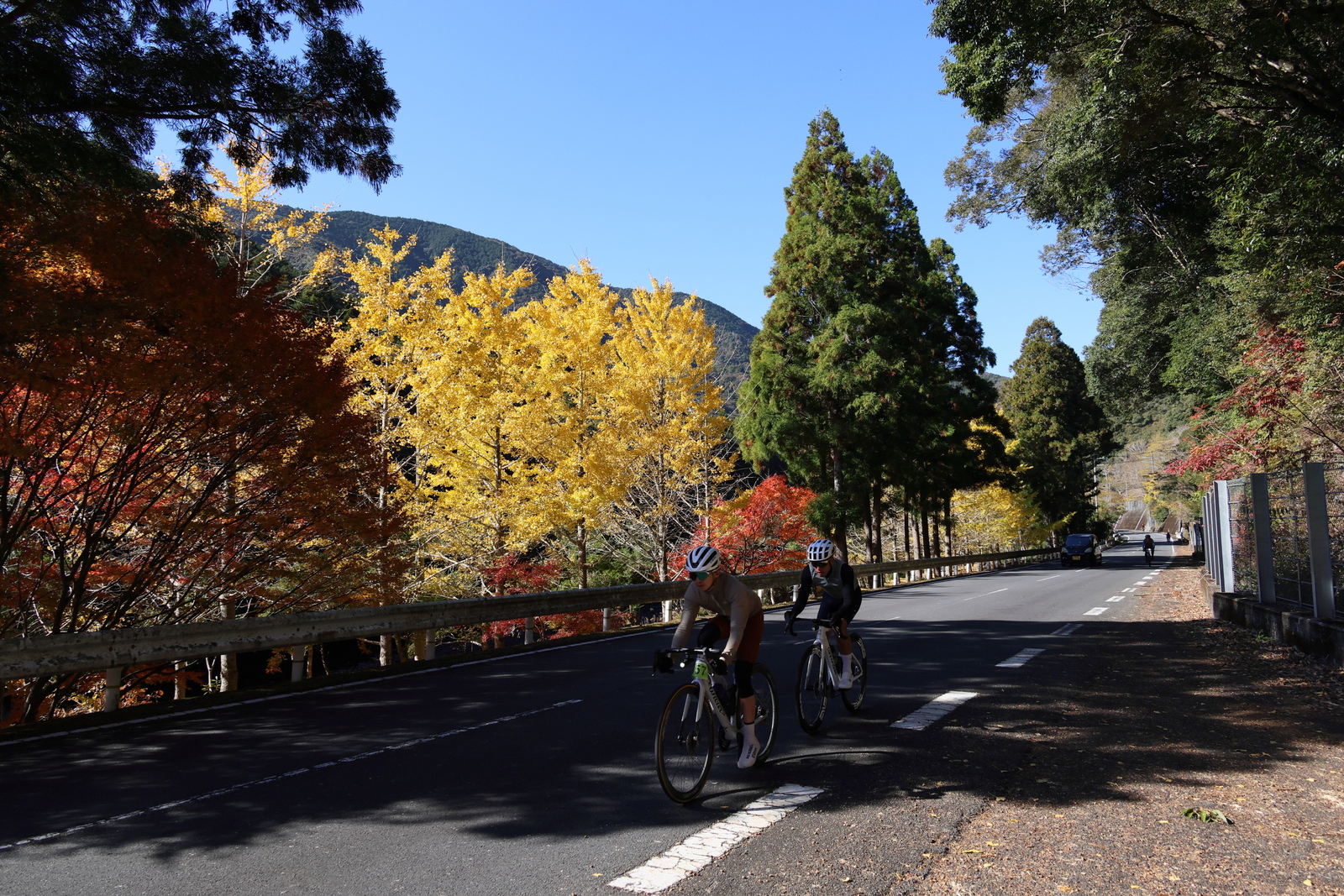 ギャラリー写真