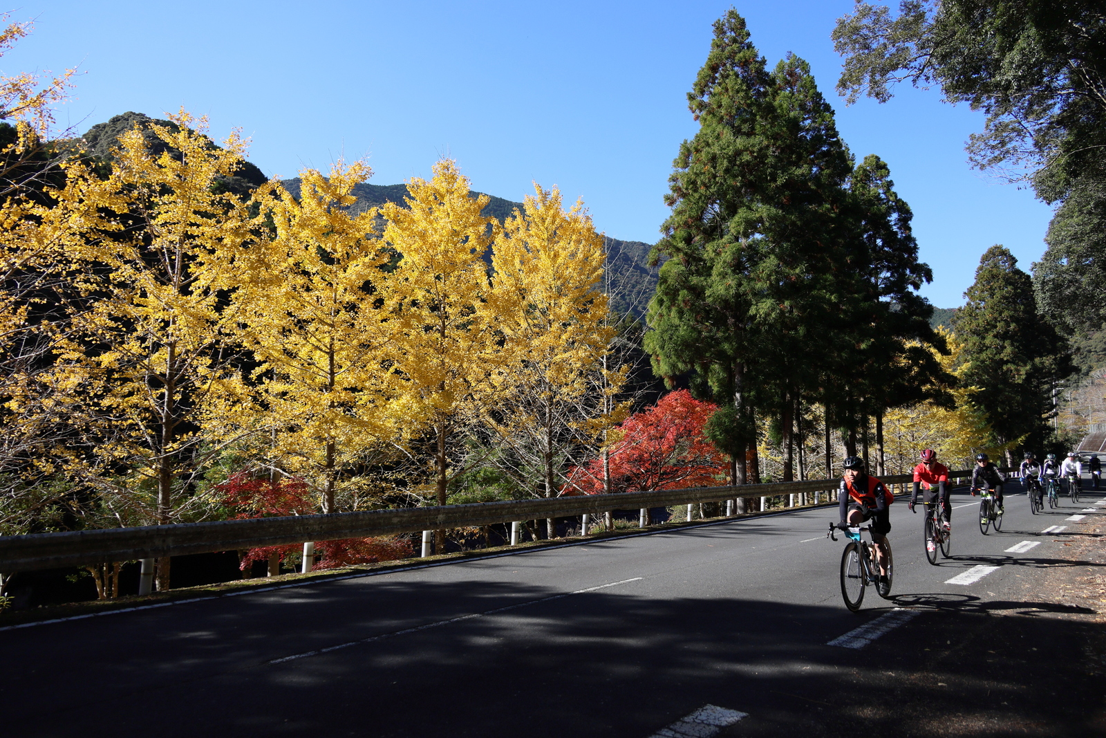 ギャラリー写真