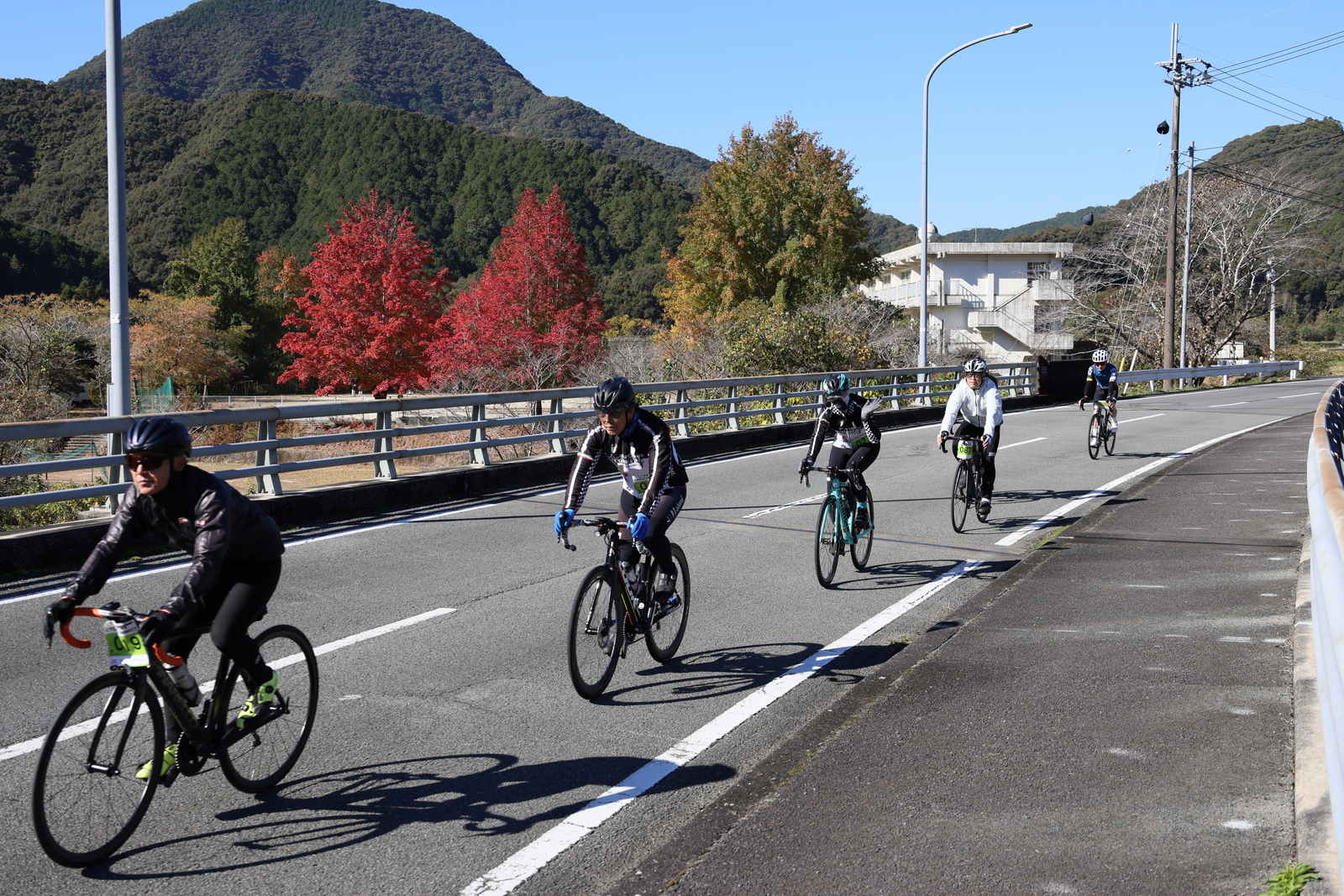 ギャラリー写真