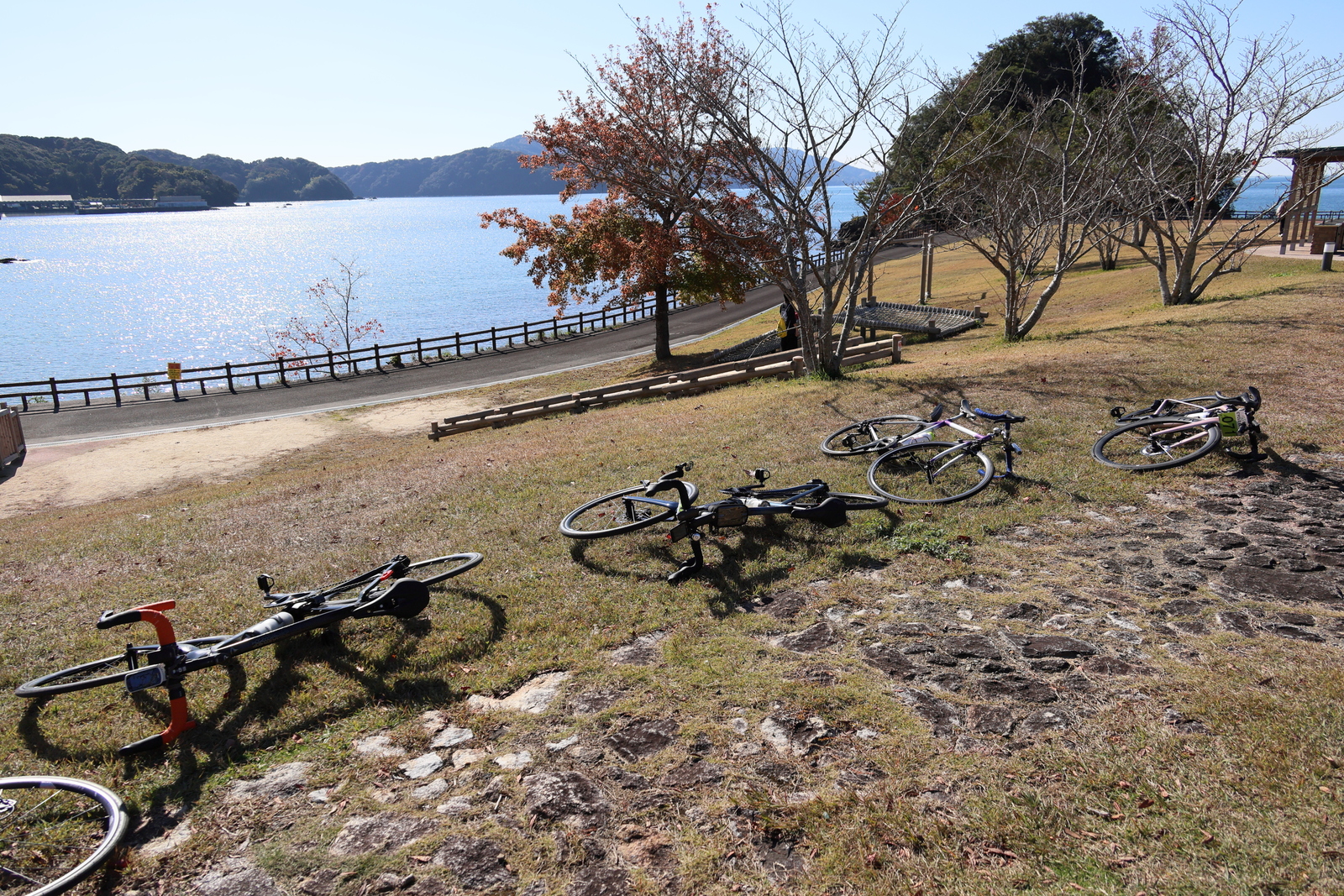 ギャラリー写真