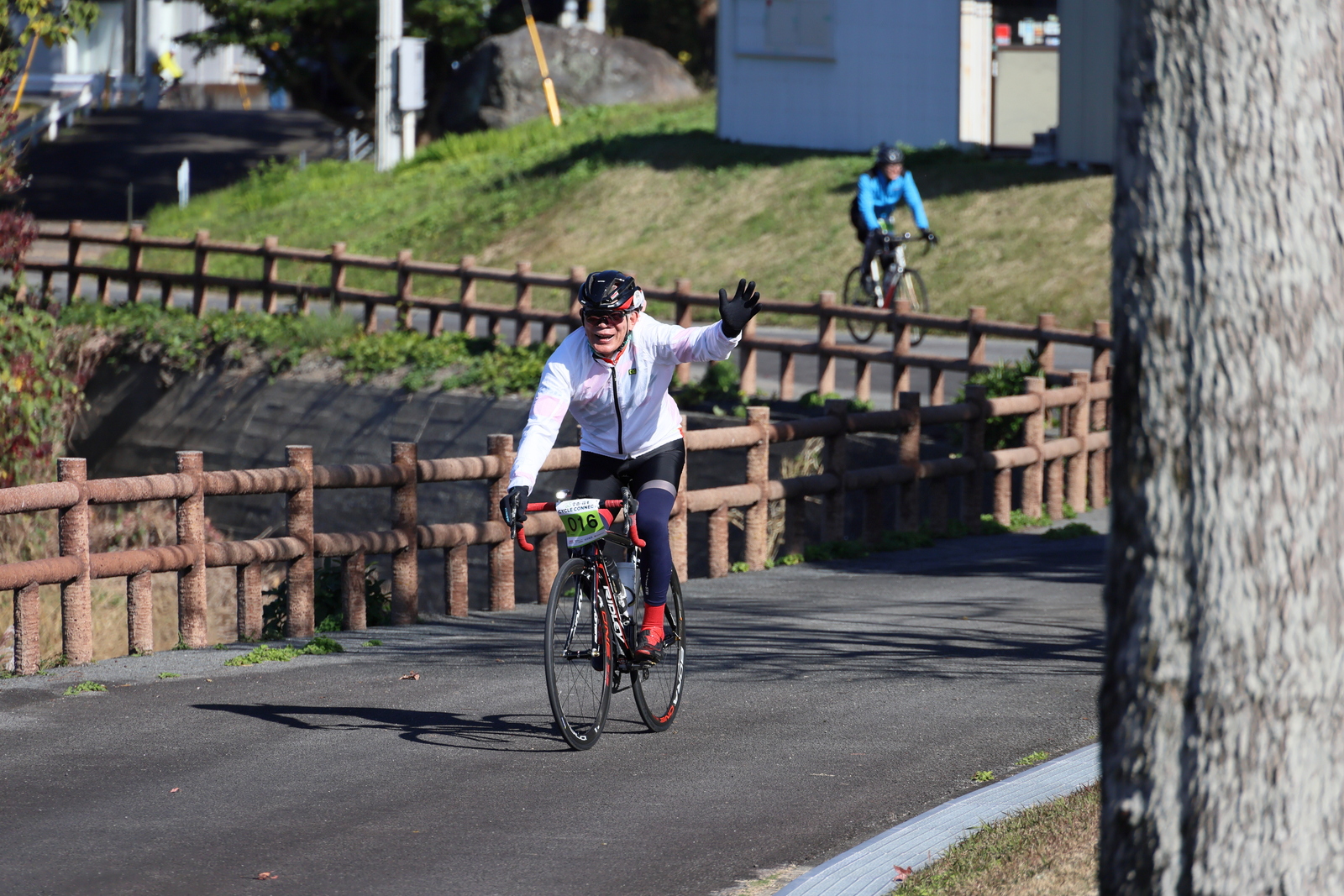 ギャラリー写真
