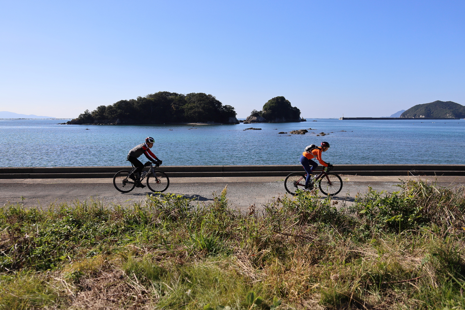 ギャラリー写真