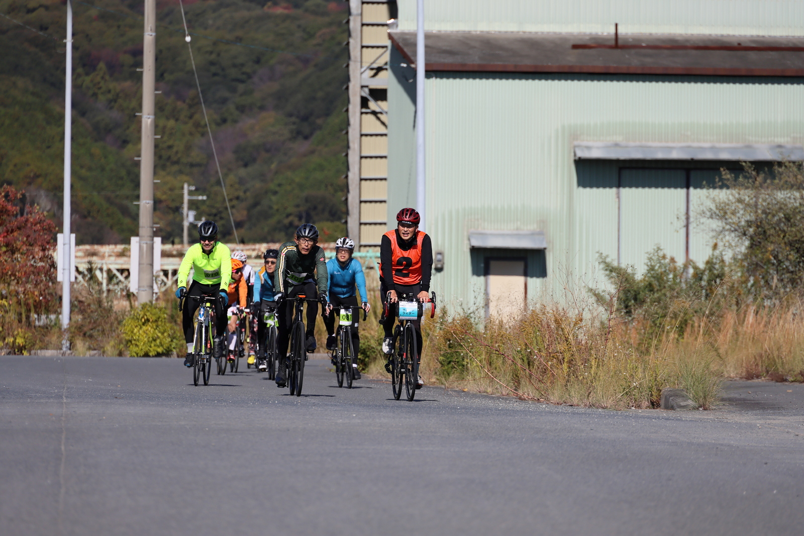 ギャラリー写真