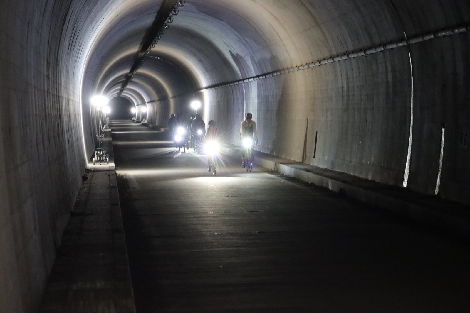 ギャラリー写真