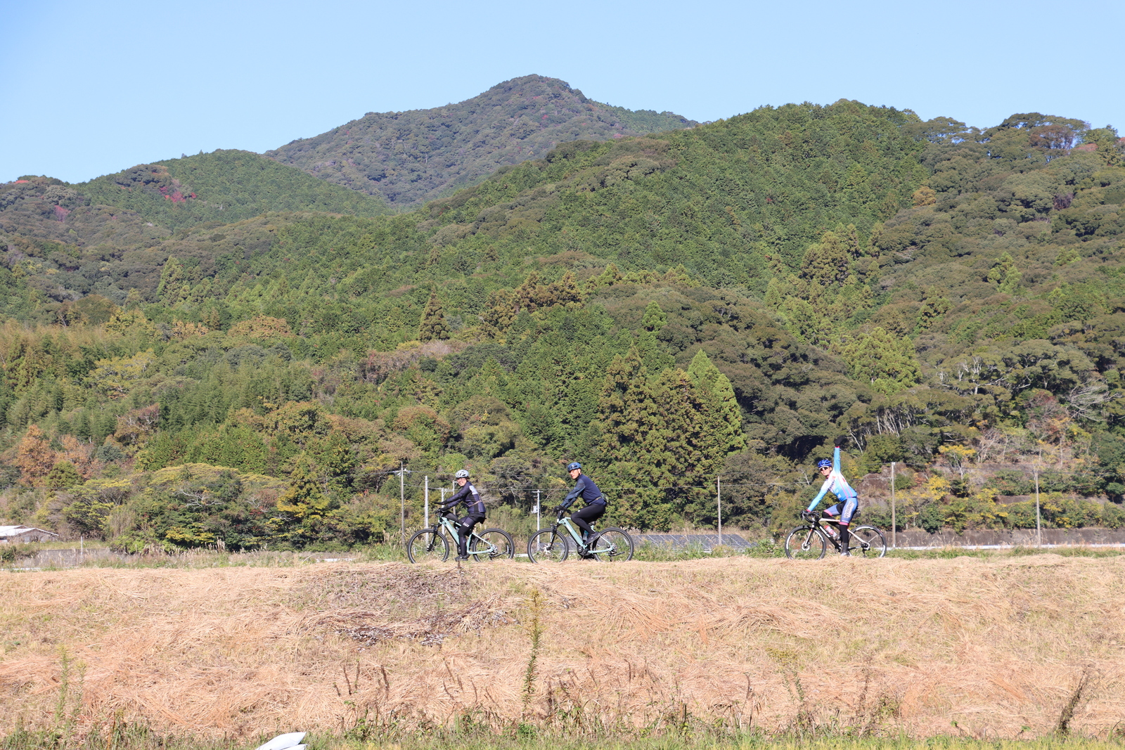 ギャラリー写真