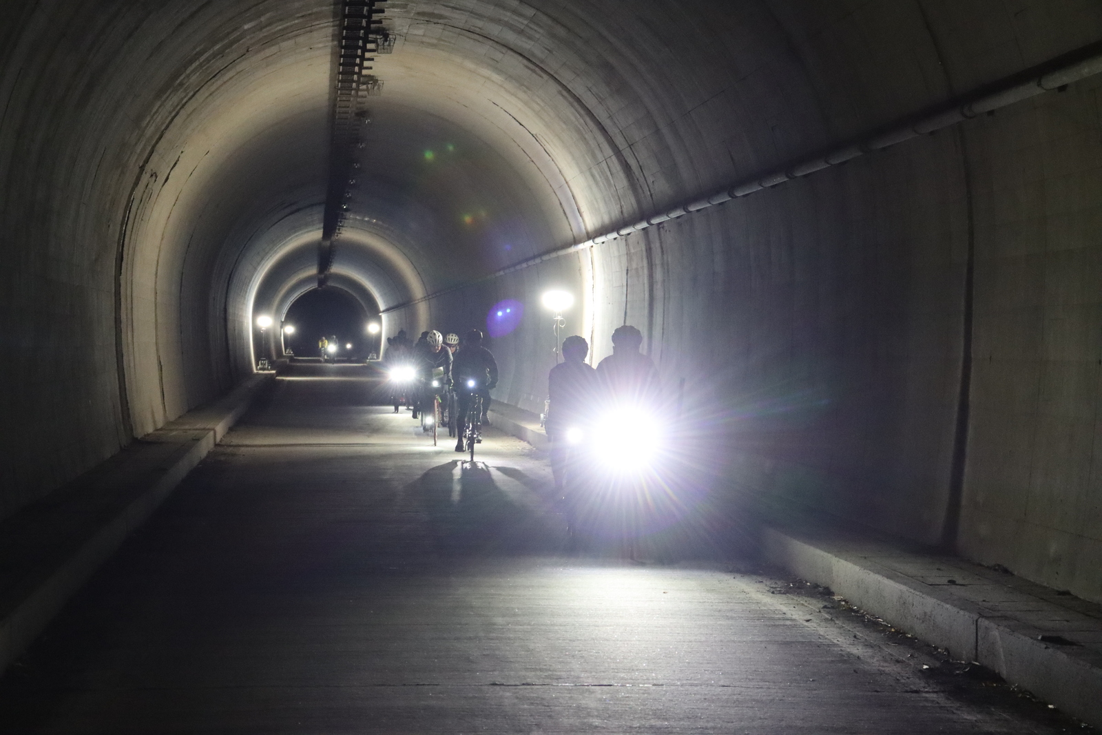 ギャラリー写真