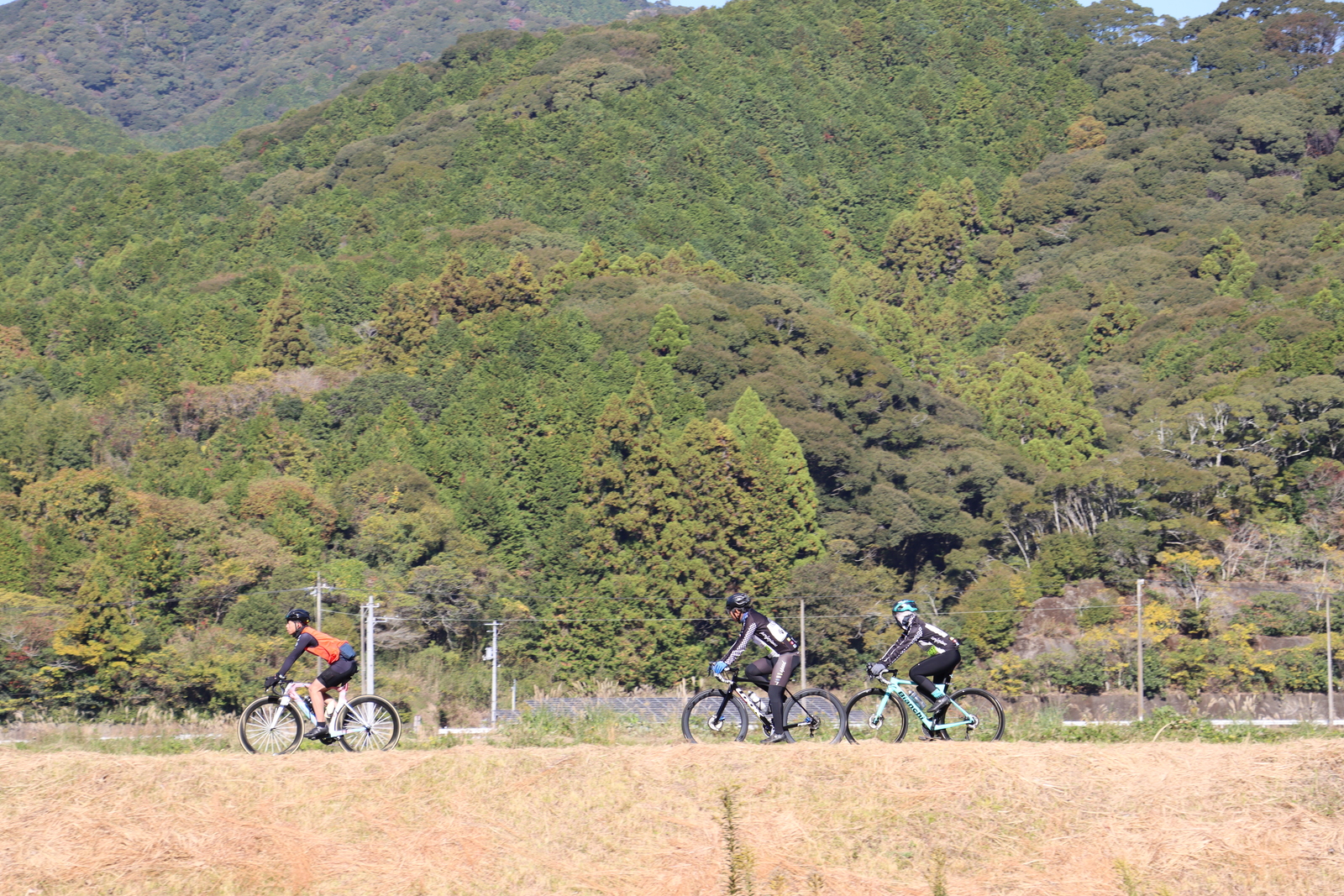 ギャラリー写真