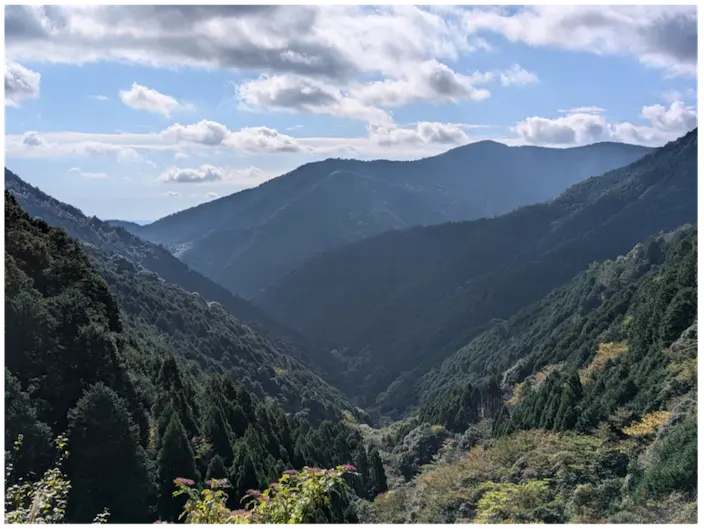 トップ画像3